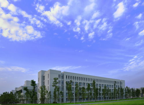 信息黃埔的底蘊 北京郵電大學繼續(xù)教育學院如何傳承名校榮光